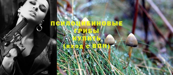 МДМА Белокуриха