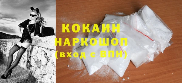 шишки Беломорск