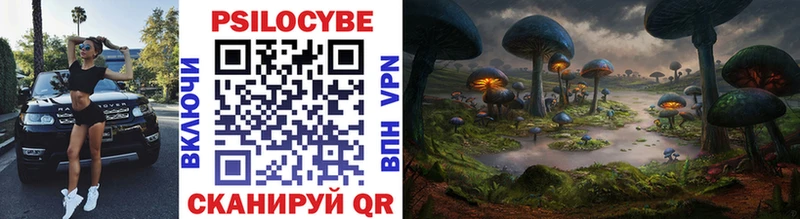 купить закладку  Демидов  Псилоцибиновые грибы Magic Shrooms 